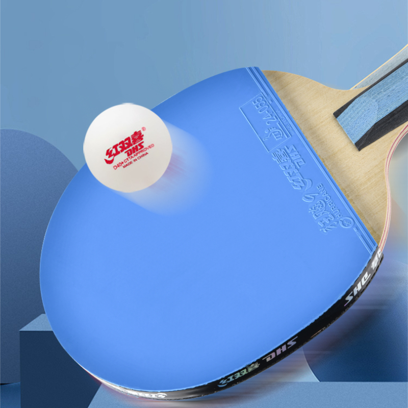 مضرب تنس طاولة DHS 6 Star H600 - مراجعة Table Tennis Champion وسعره