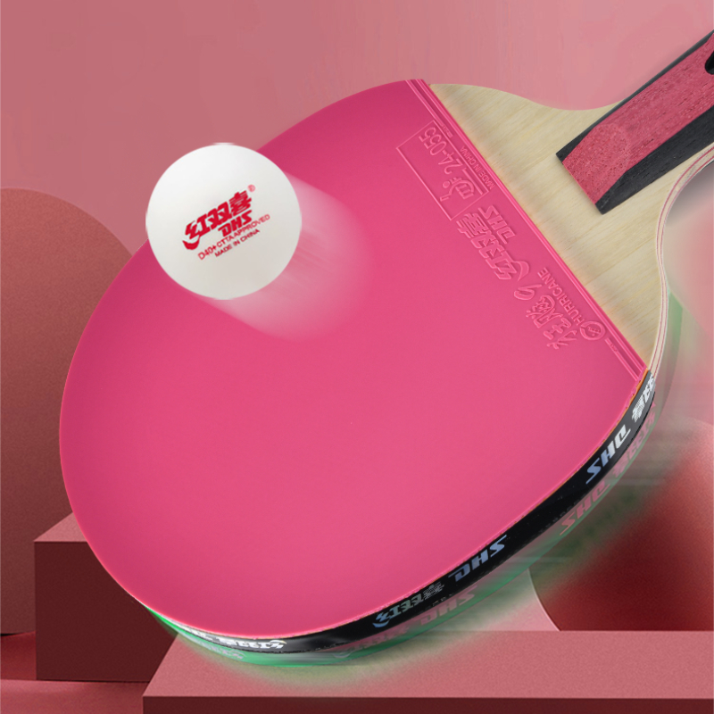 DHS 6 ستار مضرب تنس الطاولة ال - مراجعة Table Tennis Champion وسعره